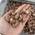 180大果紫衣腰果大量现货