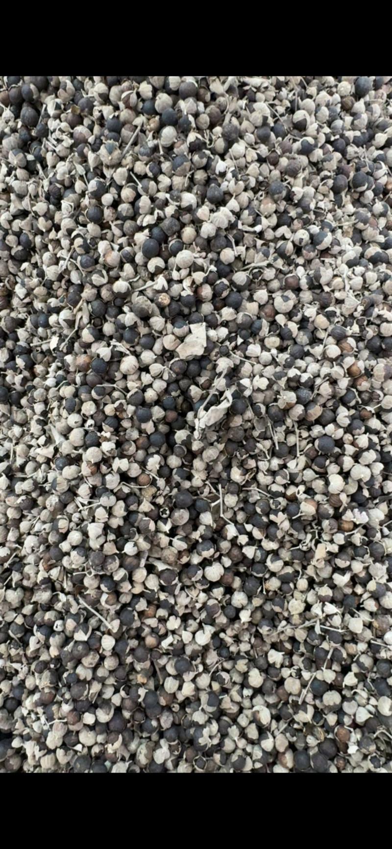 中药材蔓荆子蔓荆实江西无硫籽药各种规格批发零售