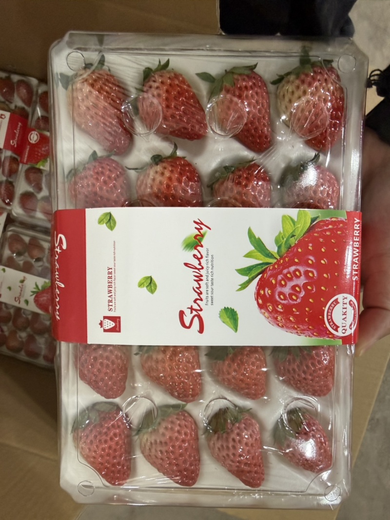 正宗红颜99草莓新鲜红颜99草莓