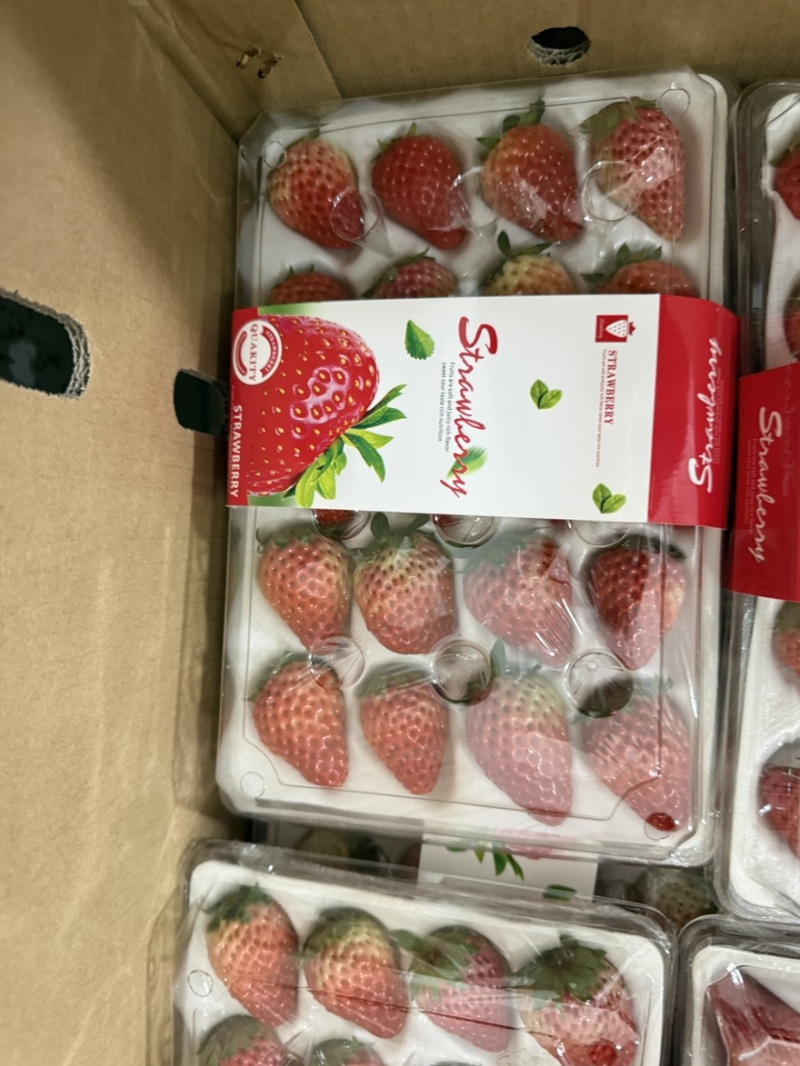 正宗红颜99牛奶草莓红颜奶油草莓新鲜大果甜草莓