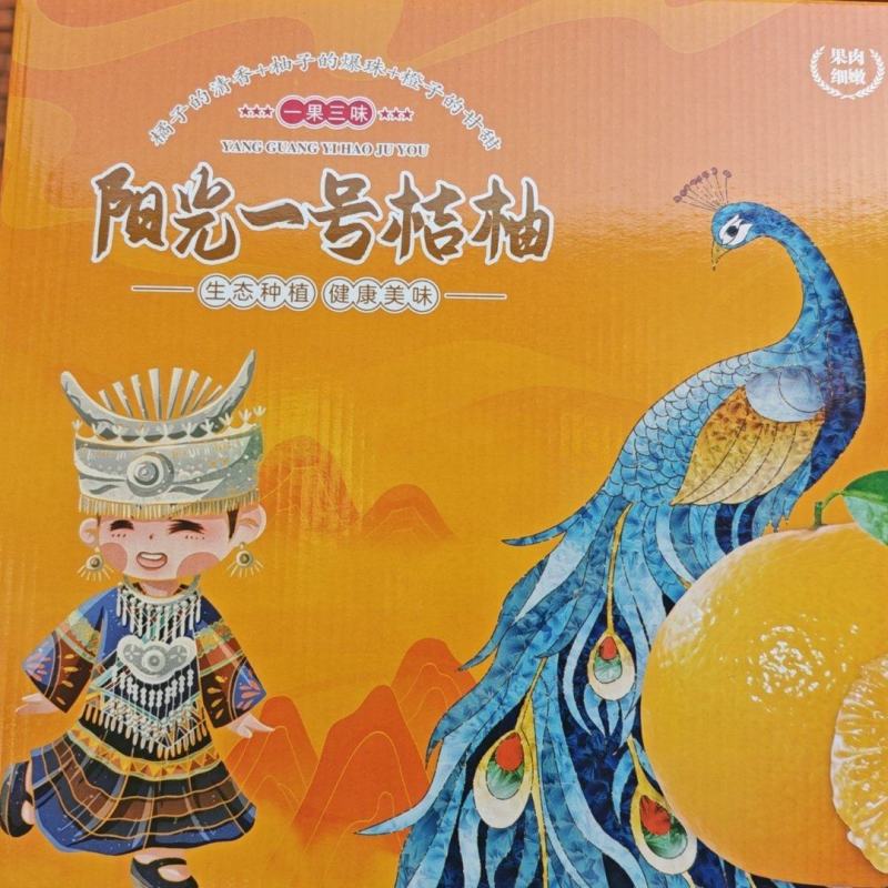 阳光一号桔柚