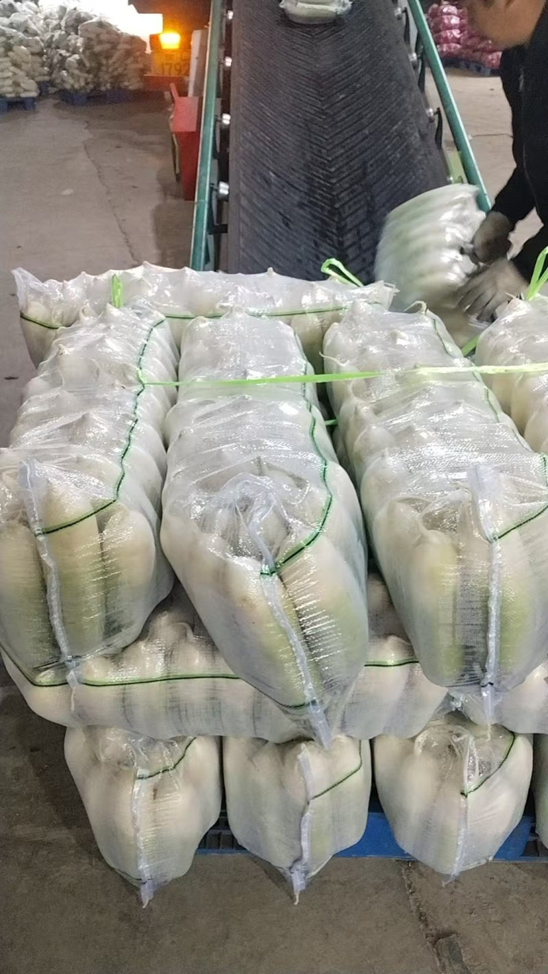湖北枝江青萝卜