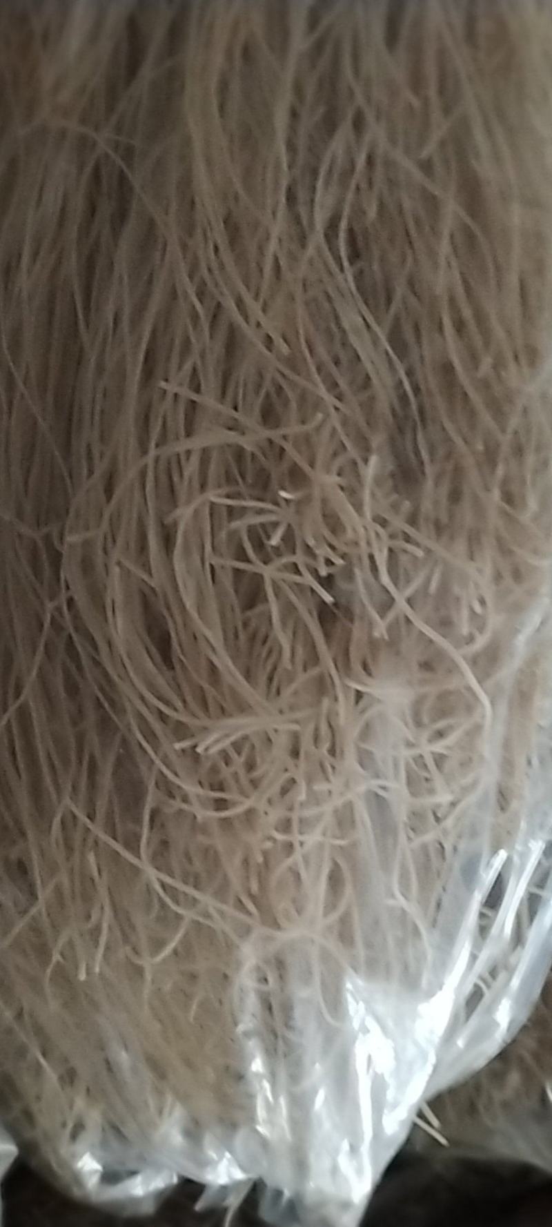 红薯粉条