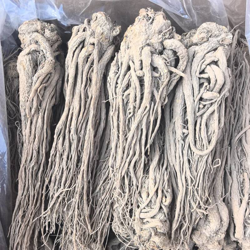 当归个500克甘肃岷县当归个全当归当归个子整条当归