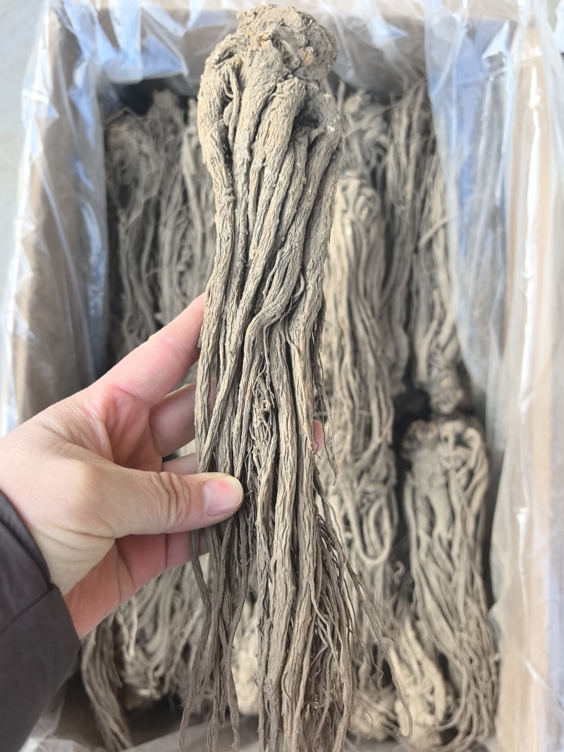 当归个500克甘肃岷县当归个全当归当归个子整条当归