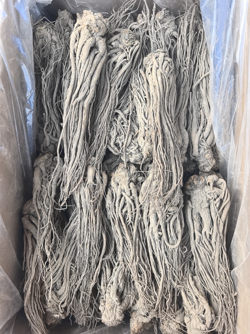 当归个500克甘肃岷县当归个全当归当归个子整条当归