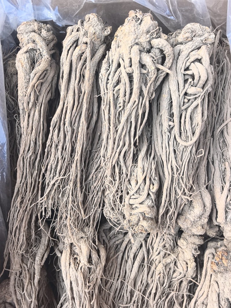当归个500克甘肃岷县当归个全当归当归个子整条当归