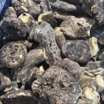 野生黑虎掌冻货