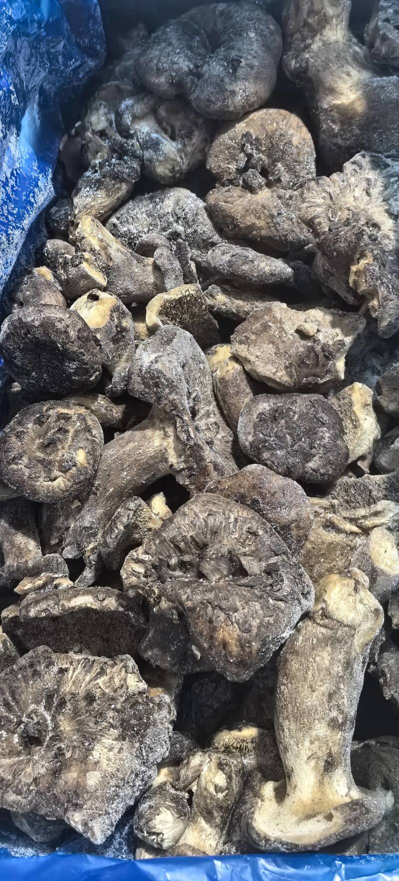 野生黑虎掌冻货