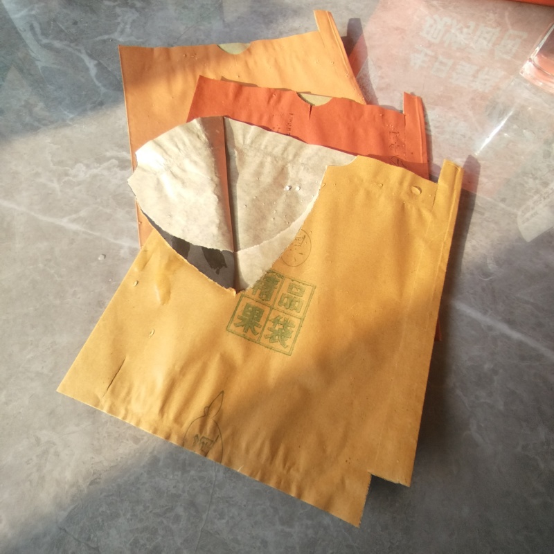 梨袋，晚秋黄梨袋，秋月梨袋，褐色皮梨专用袋