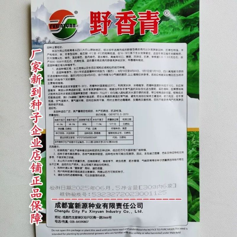 三青莴笋种子春秋播种薄皮绿肉莴笋种子抗病高产大田基地种植
