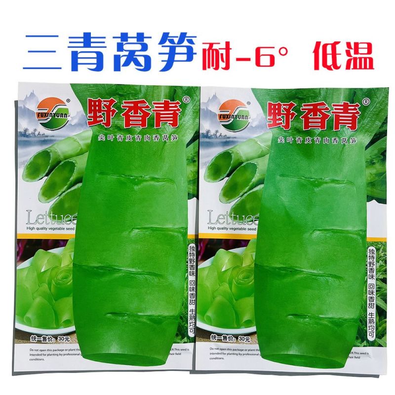 三青莴笋种子春秋播种薄皮绿肉莴笋种子抗病高产大田基地种植