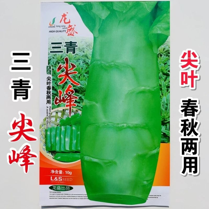 三青莴笋种子春秋播种薄皮绿肉莴笋种子抗病高产大田基地种植