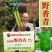 三青莴笋种子春秋播种薄皮绿肉莴笋种子抗病高产大田基地种植