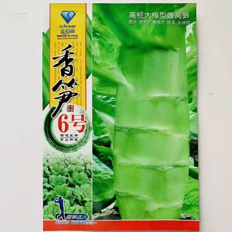三青莴笋种子春秋播种薄皮绿肉莴笋种子抗病高产大田基地种植