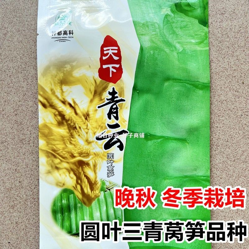 圆叶三青耐寒莴笋种子皮青肉莴苣冬季农家种籽大田春秋蔬菜种