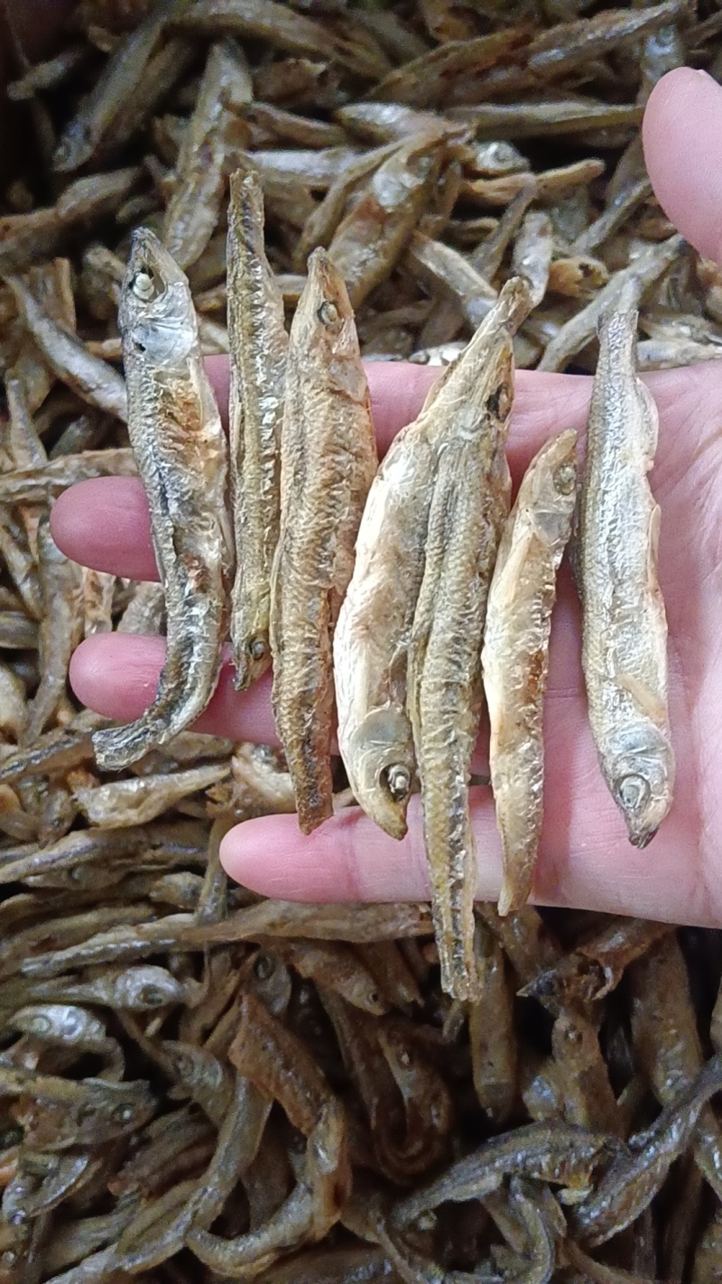 碳烤公鱼，无盐香脆不苦，价格实惠，需要的老板联系我曾姐小