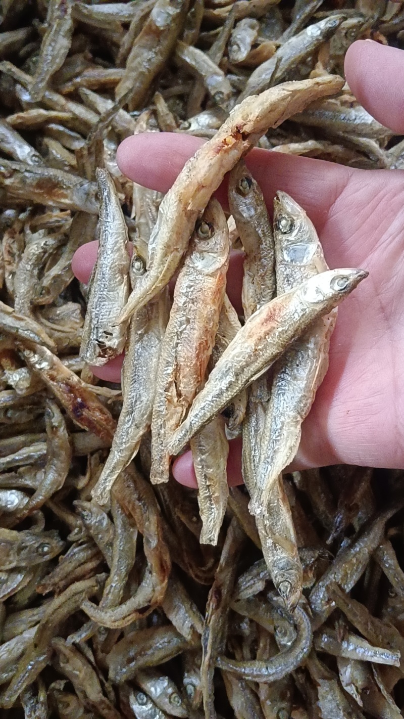 碳烤公鱼，无盐香脆不苦，价格实惠，需要的老板联系我曾姐小