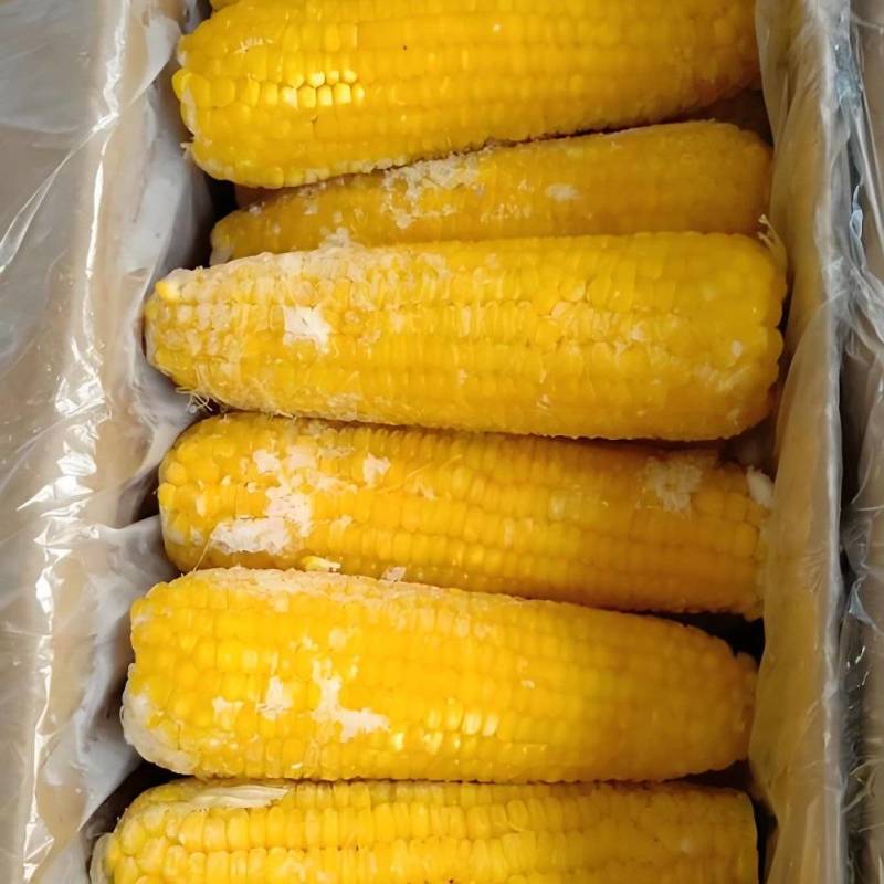 速冻鲜食玉米