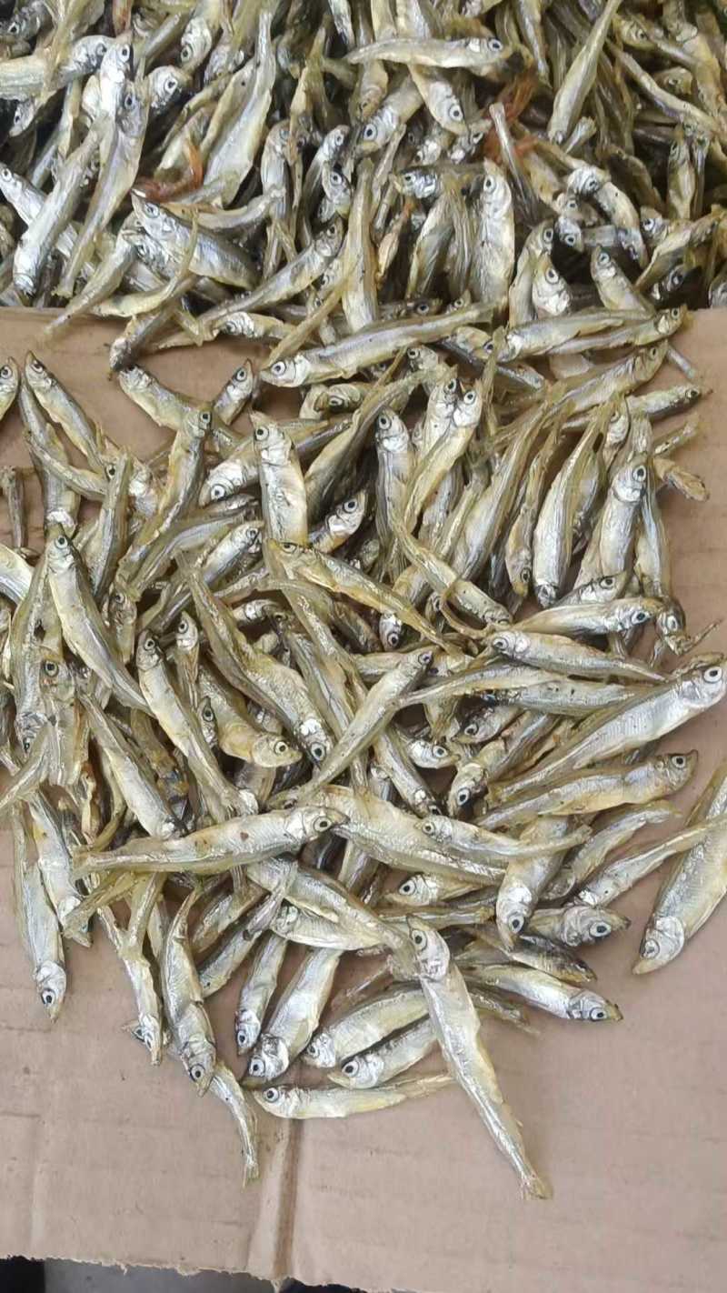 油炸中公鱼，无沙不苦，好吃价格实惠