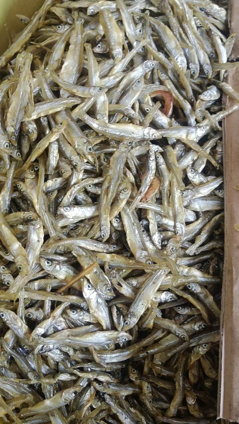 油炸中公鱼，无沙不苦，好吃价格实惠