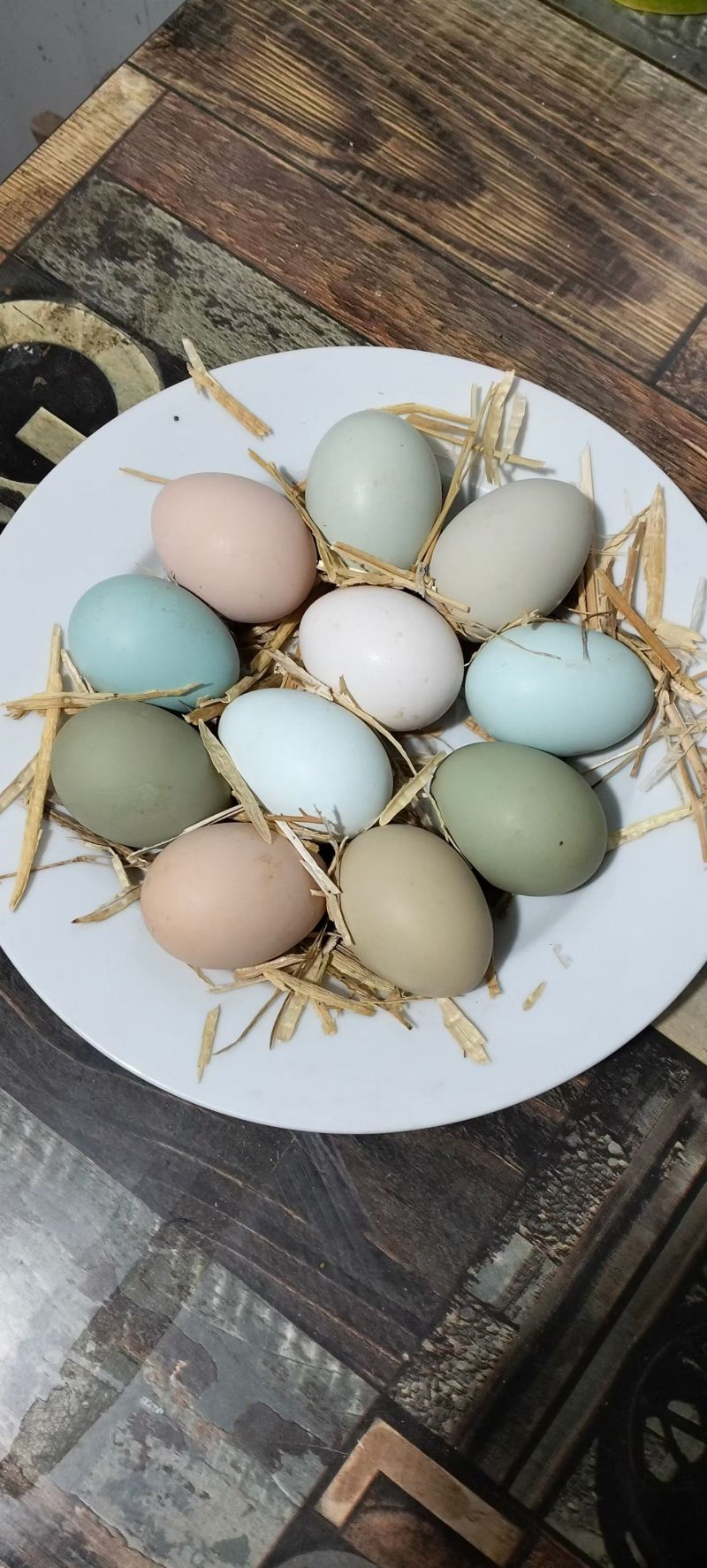 纯粮食玉米豆粕五谷杂粮散养土鸡蛋，绿壳乌鸡蛋，粉壳柴鸡蛋