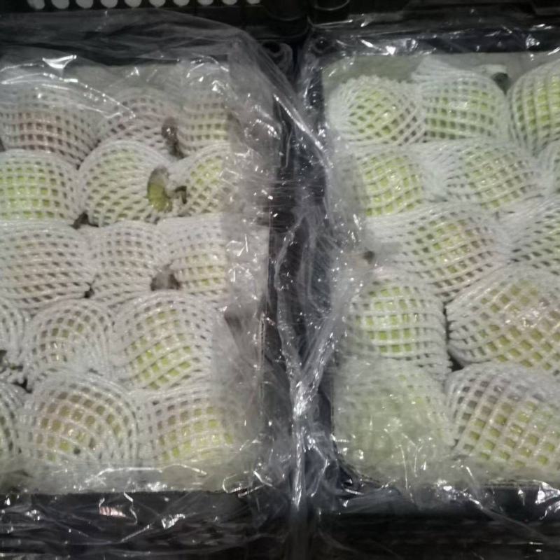 玉露香梨