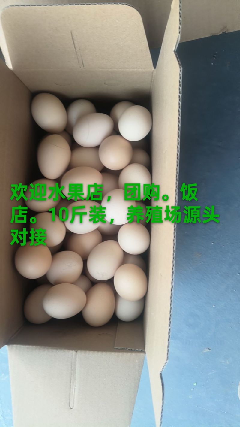 小粉蛋黄心，源头养殖场