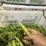蚕豆长条蚕豆新品种云南独有的品种口感香甜耐保存耐运输