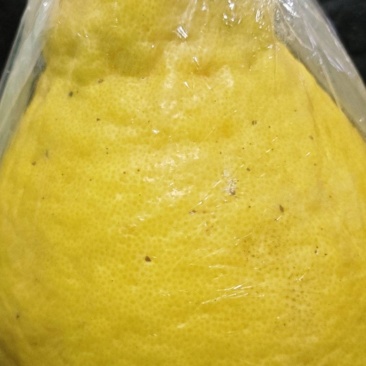 永州江永老树香柚