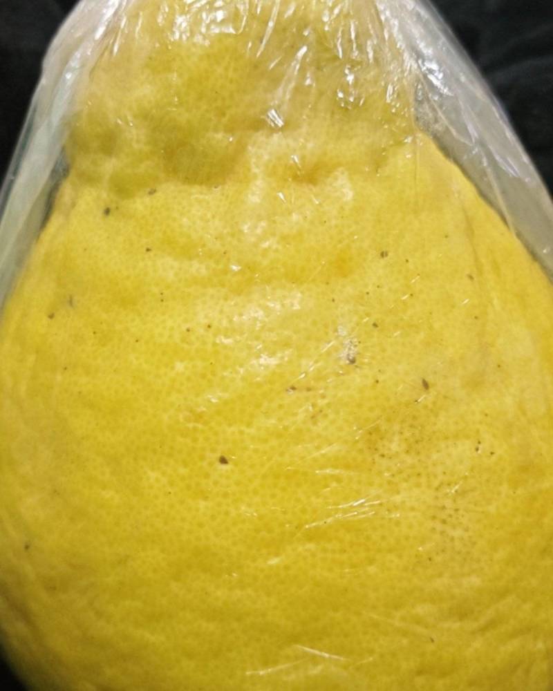 永州江永老树香柚