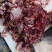 纯干牛碎肉，瘦度高，各种比例都可定做，欢迎定价咨询