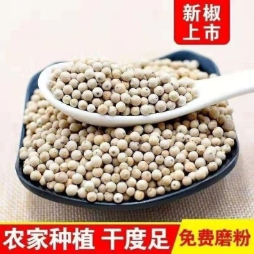 白胡椒掺货用