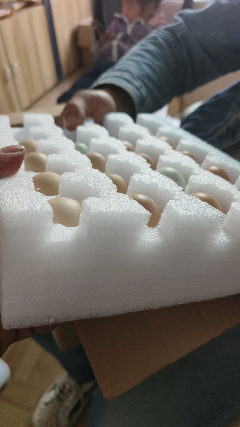 10枚-50枚土鸡蛋一件代发