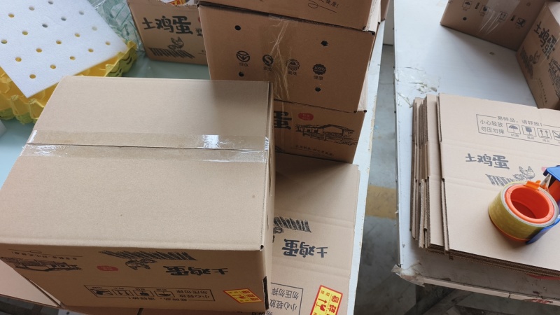 10枚-50枚土鸡蛋一件代发