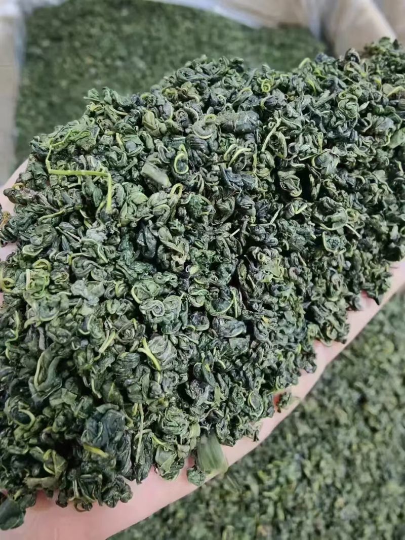罗布麻茶