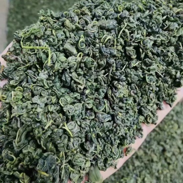 罗布麻茶