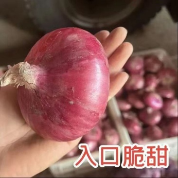 洋葱