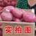 洋葱