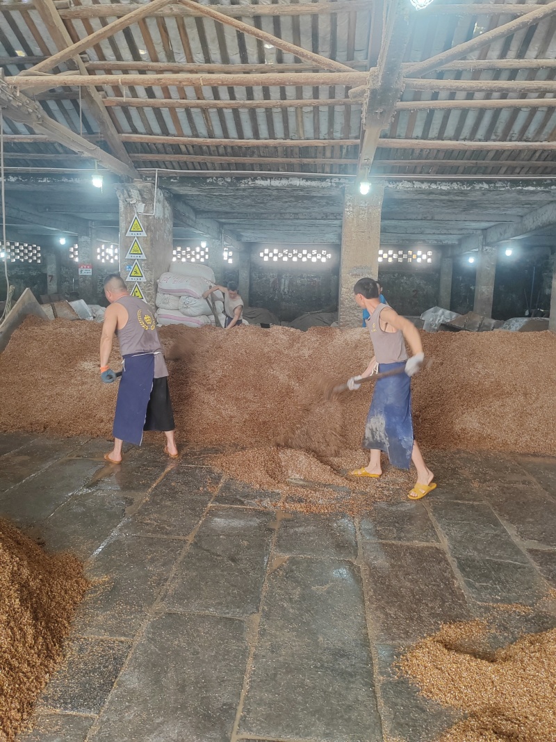 宜宾浓香型纯粮酒规格齐全全国发货可视频看货
