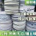 彩条布园艺布条布带捆土球打包绳子园林苗木包土球白色混色无