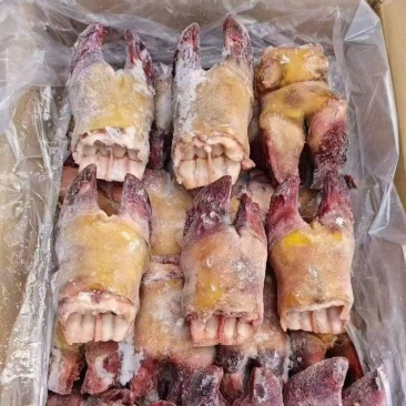 精品火烧牛蹄掌