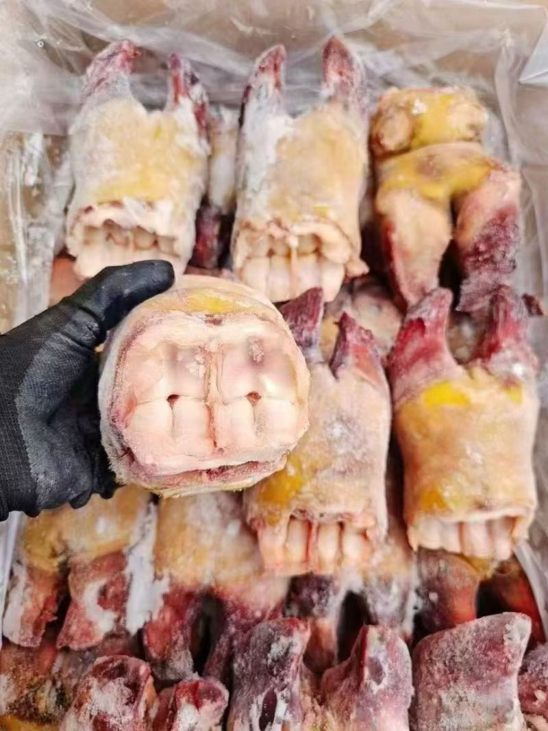 精品火烧牛蹄掌