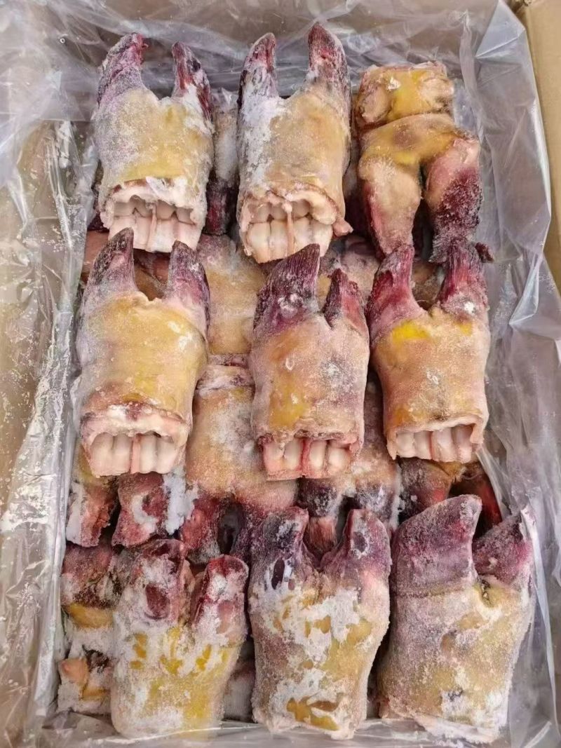 精品火烧牛蹄掌