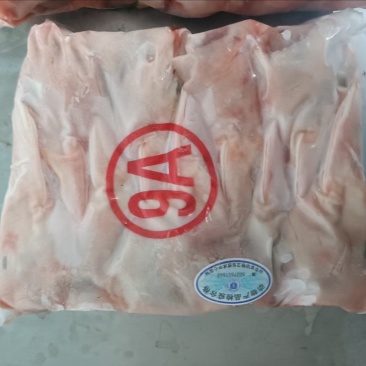 9头