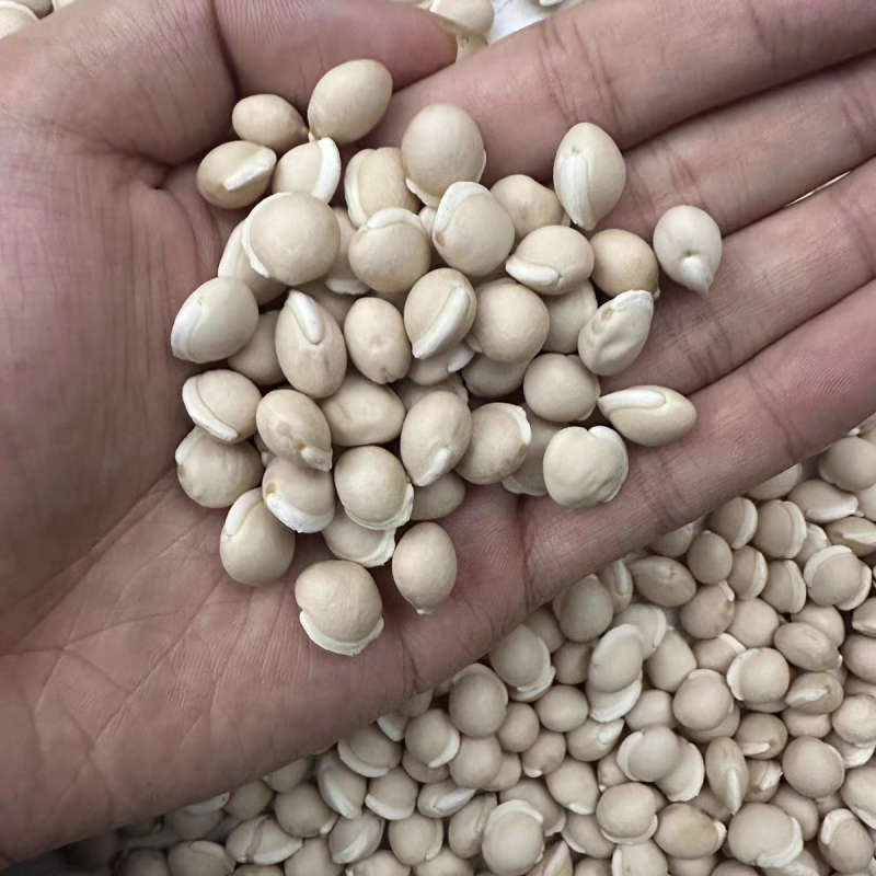 白扁豆云南道地白扁豆无硫新货保质保量一公斤起批