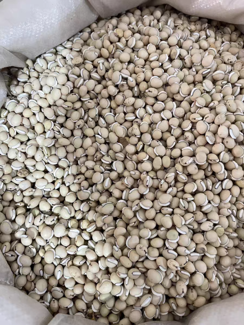 白扁豆云南道地白扁豆无硫新货保质保量一公斤起批
