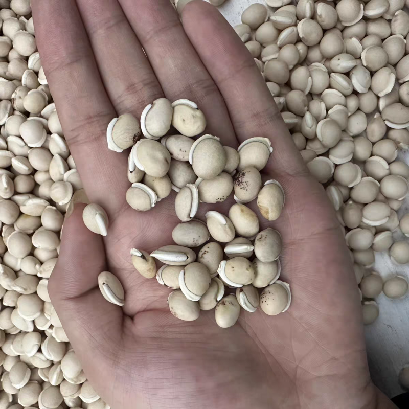白扁豆云南道地白扁豆无硫新货保质保量一公斤起批