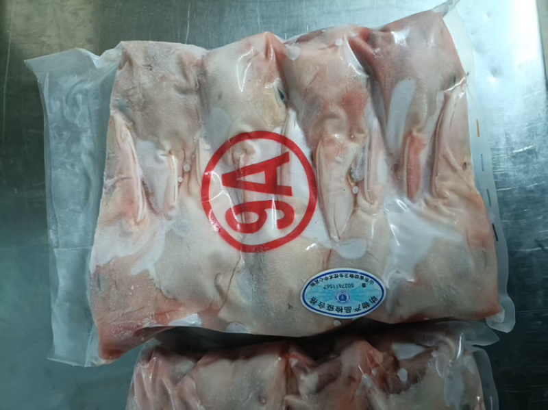 9头