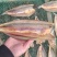 魁龙鱼干开片